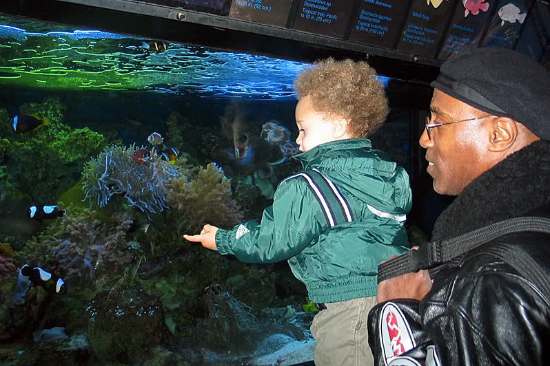 IMAGE: http://i4.photobucket.com/albums/y116/skrim/look.jpg