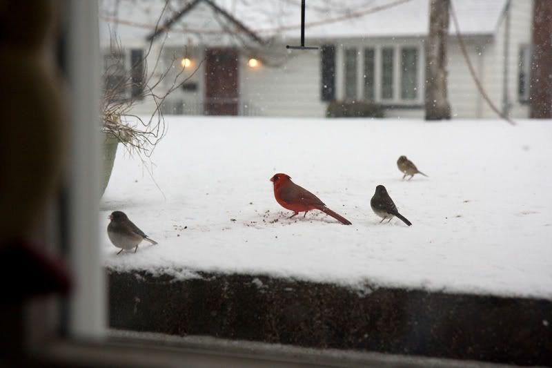 IMAGE: http://i4.photobucket.com/albums/y116/skrim/nextone/20071213-IMG_9751copy.jpg