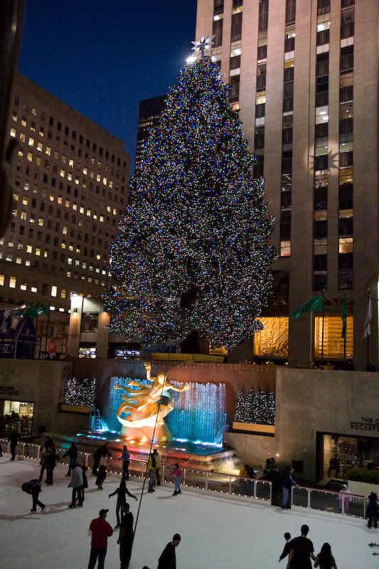 IMAGE: http://i4.photobucket.com/albums/y116/skrim/nextone/20080107-IMG_0855.jpg