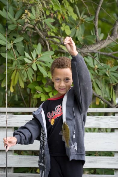 IMAGE: http://i4.photobucket.com/albums/y116/skrim/nextone/IMG_0303.jpg