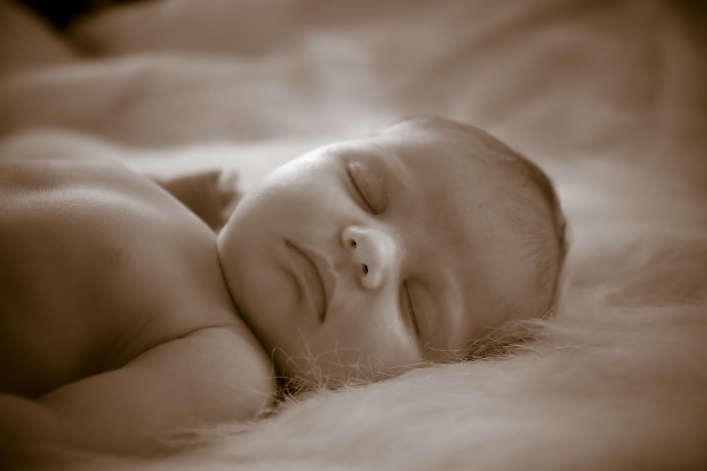 IMAGE: http://i4.photobucket.com/albums/y116/skrim/nextone/IMG_0837.jpg