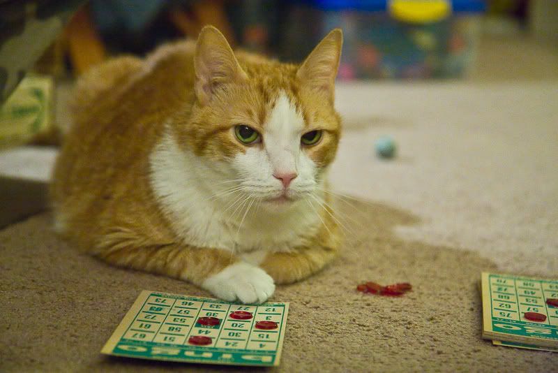 IMAGE: http://i4.photobucket.com/albums/y116/skrim/nextone/IMG_1520-1.jpg