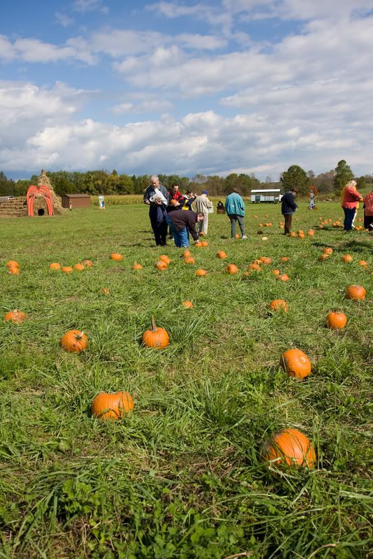 IMAGE: http://i4.photobucket.com/albums/y116/skrim/nextone/IMG_2202-5.jpg