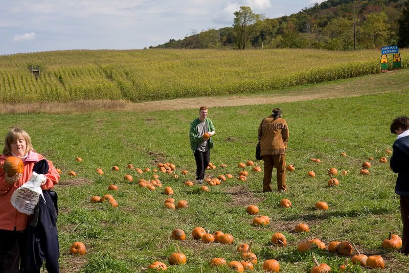 IMAGE: http://i4.photobucket.com/albums/y116/skrim/nextone/IMG_2214-7.jpg