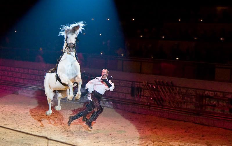 IMAGE: http://i4.photobucket.com/albums/y116/skrim/nextone/IMG_2526.jpg