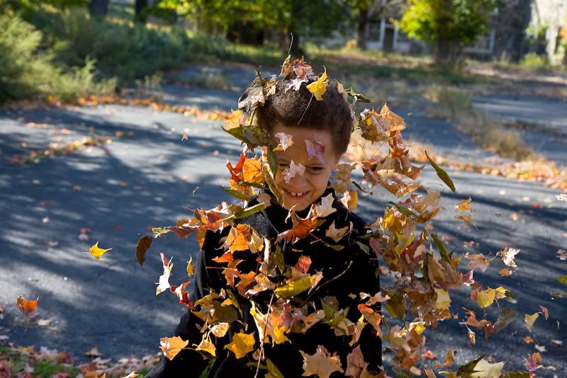 IMAGE: http://i4.photobucket.com/albums/y116/skrim/nextone/IMG_2708-1.jpg