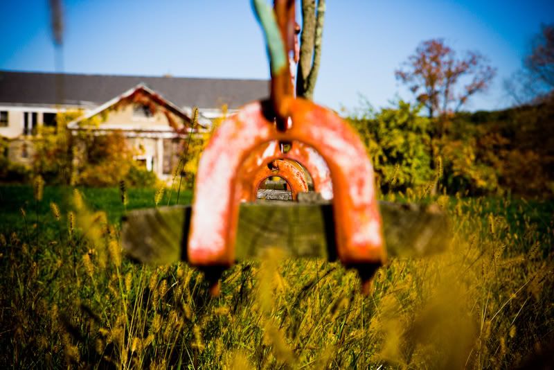 IMAGE: http://i4.photobucket.com/albums/y116/skrim/nextone/IMG_2905-1.jpg