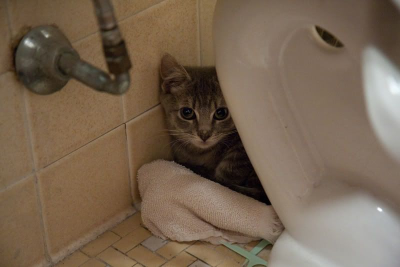 IMAGE: http://i4.photobucket.com/albums/y116/skrim/nextone/IMG_6049.jpg