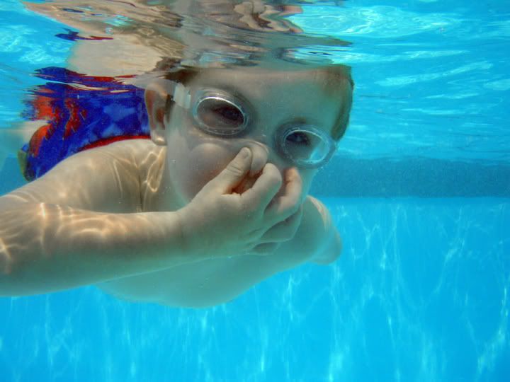 IMAGE: http://i4.photobucket.com/albums/y116/skrim/nextone/P7120998copy.jpg