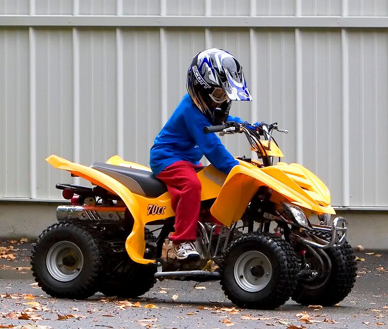 IMAGE: http://i4.photobucket.com/albums/y116/skrim/nextone/kq.jpg