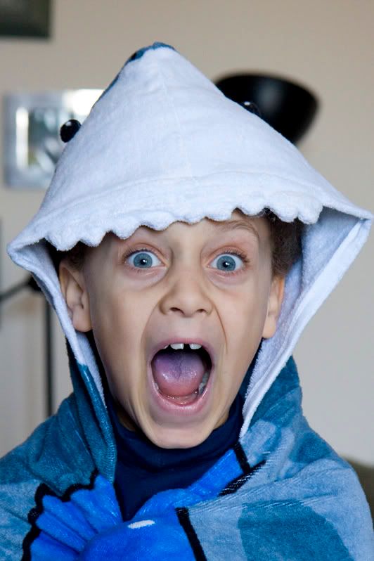 IMAGE: http://i4.photobucket.com/albums/y116/skrim/nextone/shark-1.jpg