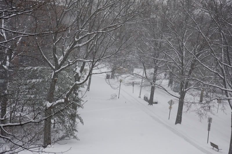 IMAGE: http://i4.photobucket.com/albums/y116/skrim/nextone/snow3.jpg