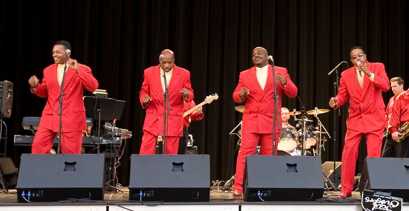 IMAGE: http://i4.photobucket.com/albums/y116/skrim/nextone/web3.jpg