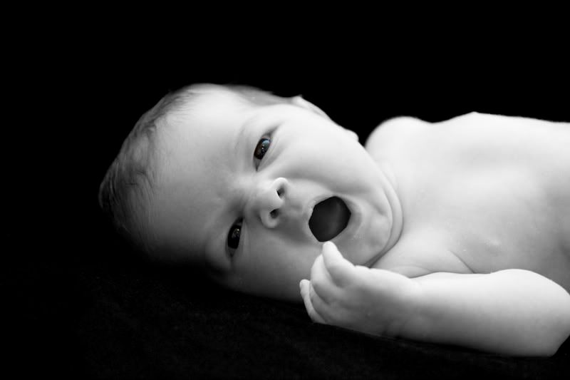 IMAGE: http://i4.photobucket.com/albums/y116/skrim/nextone/yawnprint.jpg