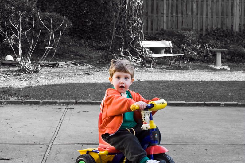 IMAGE: http://i4.photobucket.com/albums/y116/skrim/tommytrikeselectweb.jpg