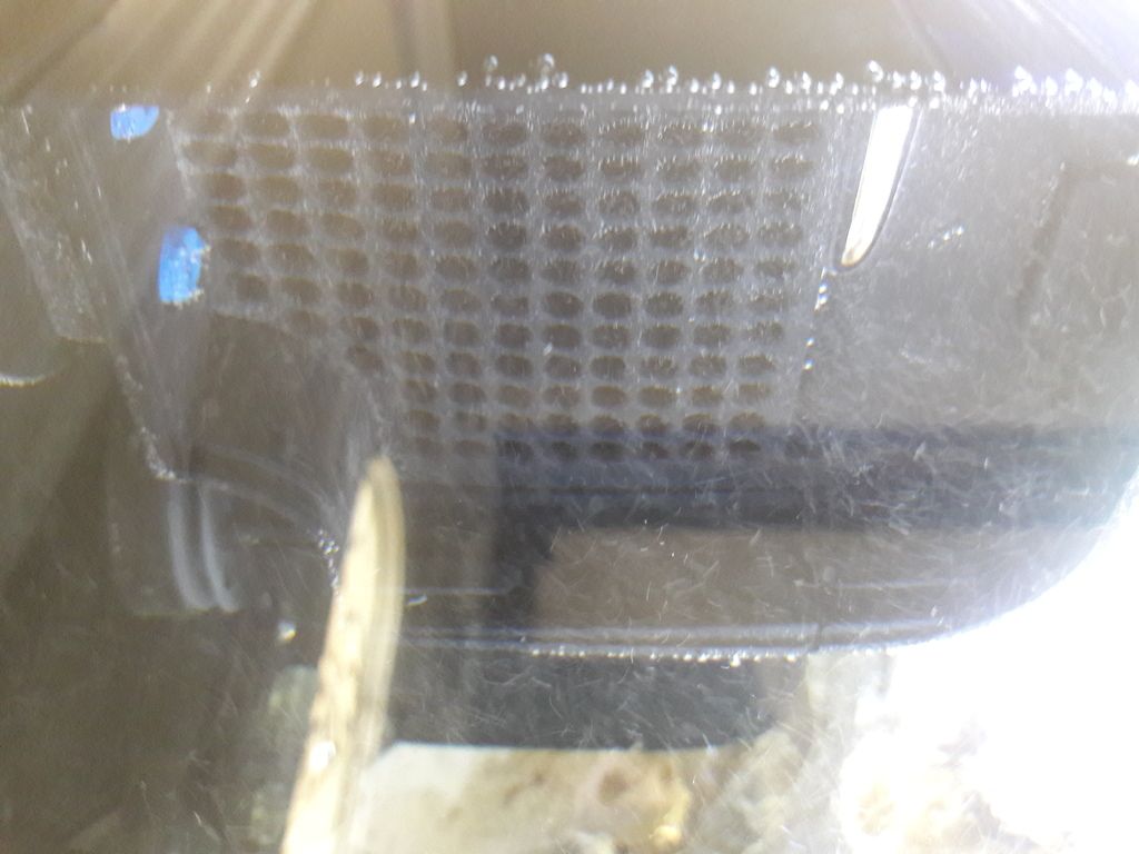 Micro bubbles from skimmer Reef Central Online Community