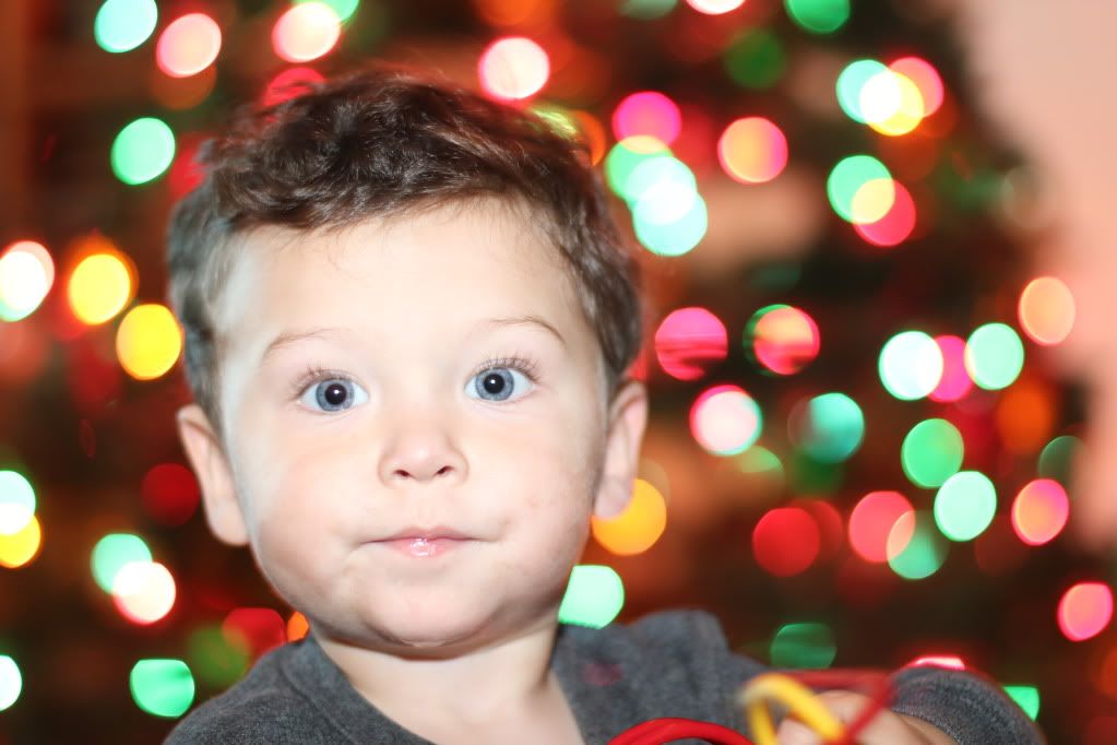 IMAGE: http://i4.photobucket.com/albums/y117/40zDictator/IMG_4966-1.jpg