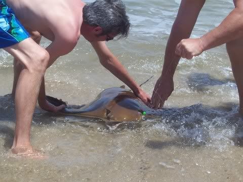 Image hosted by Photobucket.com