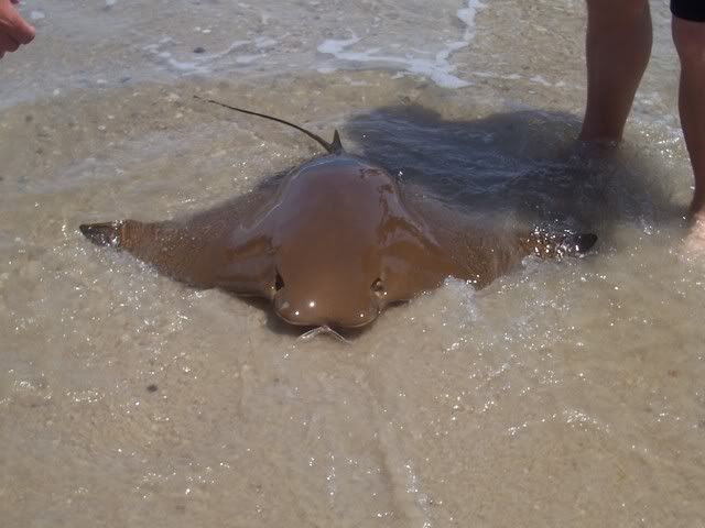 Image hosted by Photobucket.com