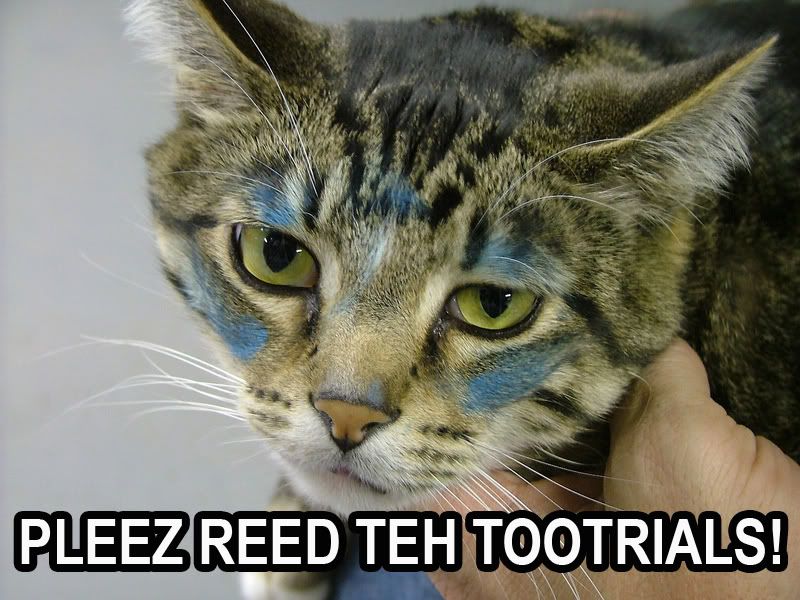 Tutorials-Disclaimer.jpg image by superquad7
