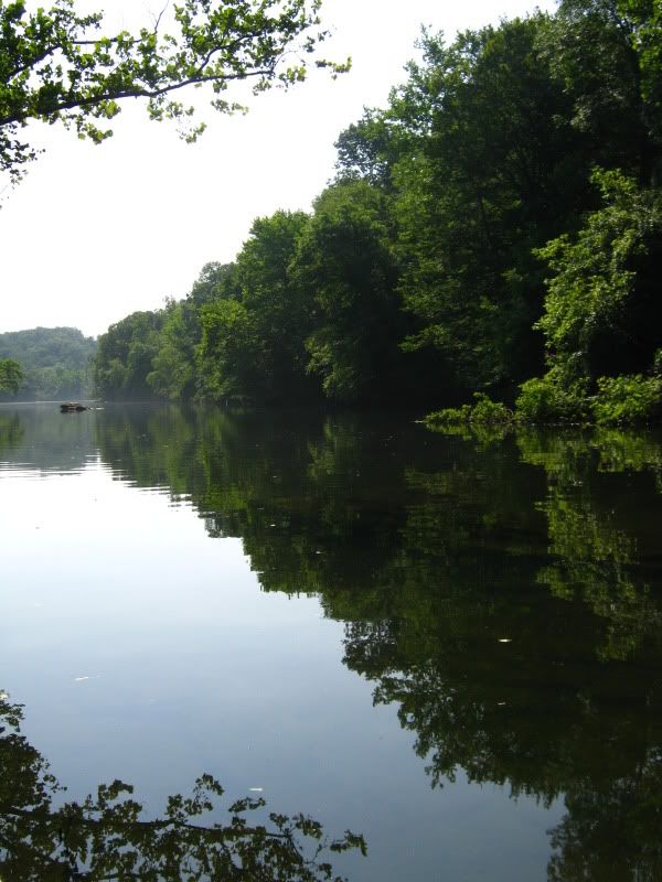 Lookout Shoals Lake 6252010 NC Angler Forums