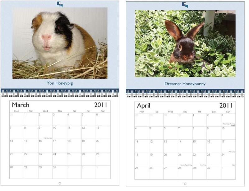 Calendar2010a.jpg