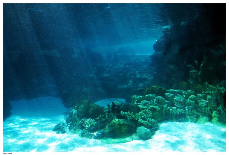 Underwater_Ocean_Floor_Light_by_Della_Stock1.jpg