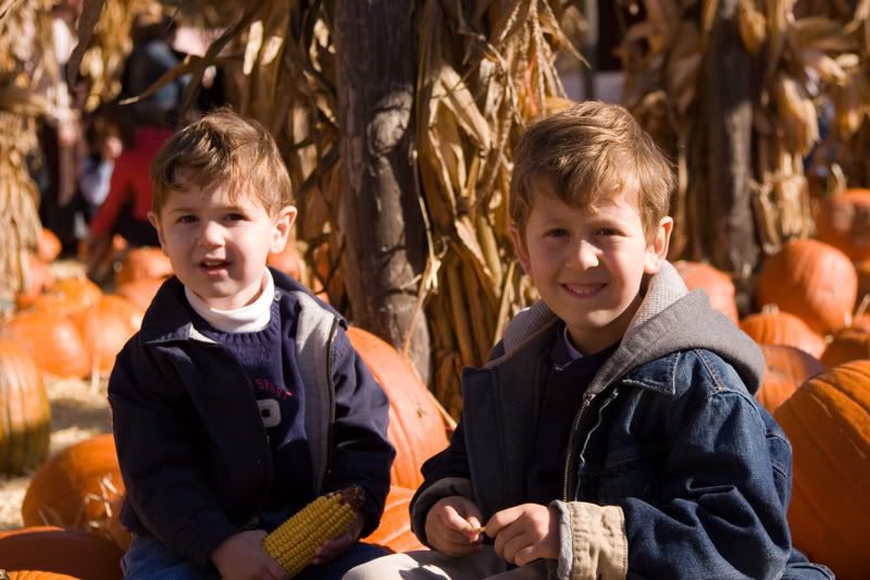 IMAGE: http://i4.photobucket.com/albums/y120/Namflow/25.jpg