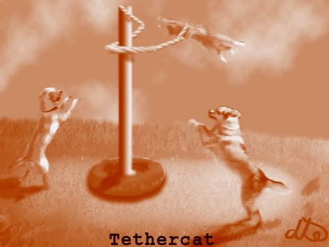 tethercat.jpg