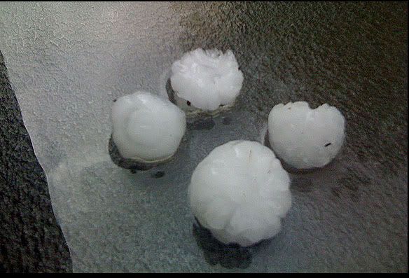 The ice balls falling from the sky were almost the size of golf balls!