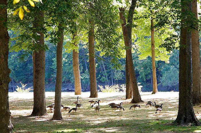 IMAGE: http://i4.photobucket.com/albums/y121/cylentka/IMG_4410.jpg