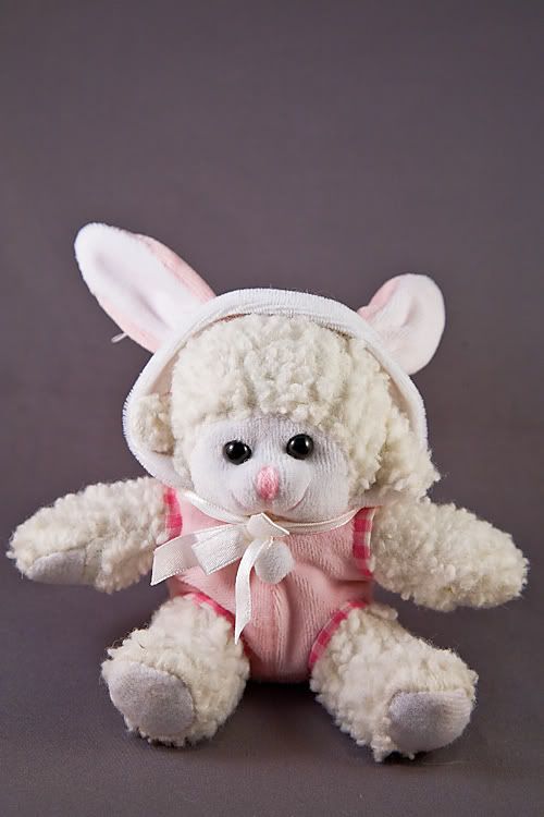 IMAGE: http://i4.photobucket.com/albums/y121/cylentka/IMG_6163.jpg