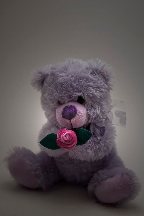 IMAGE: http://i4.photobucket.com/albums/y121/cylentka/IMG_6241.jpg