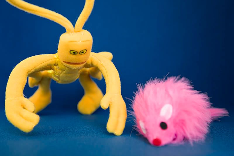 IMAGE: http://i4.photobucket.com/albums/y121/cylentka/IMG_6328.jpg