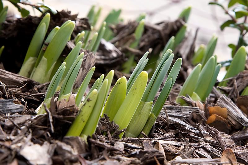 IMAGE: http://i4.photobucket.com/albums/y121/cylentka/IMG_6377.jpg