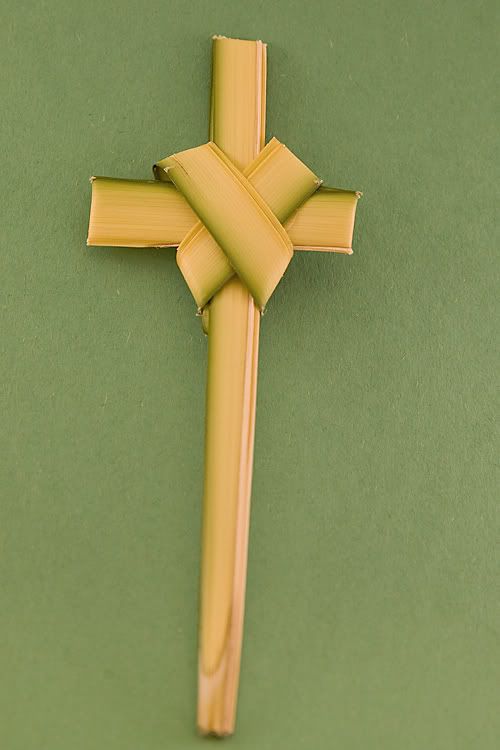 IMAGE: http://i4.photobucket.com/albums/y121/cylentka/IMG_6391.jpg