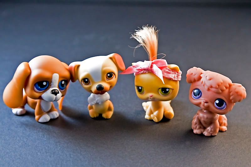 IMAGE: http://i4.photobucket.com/albums/y121/cylentka/IMG_6431.jpg