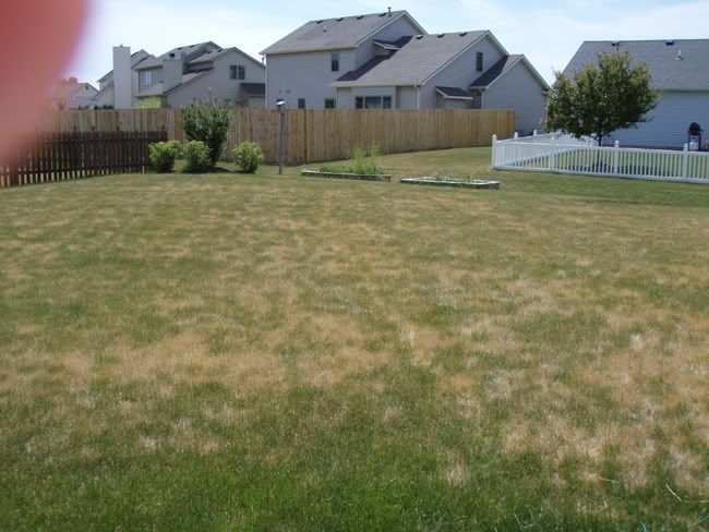 IMAGE: http://i4.photobucket.com/albums/y121/cylentka/Owide.jpg