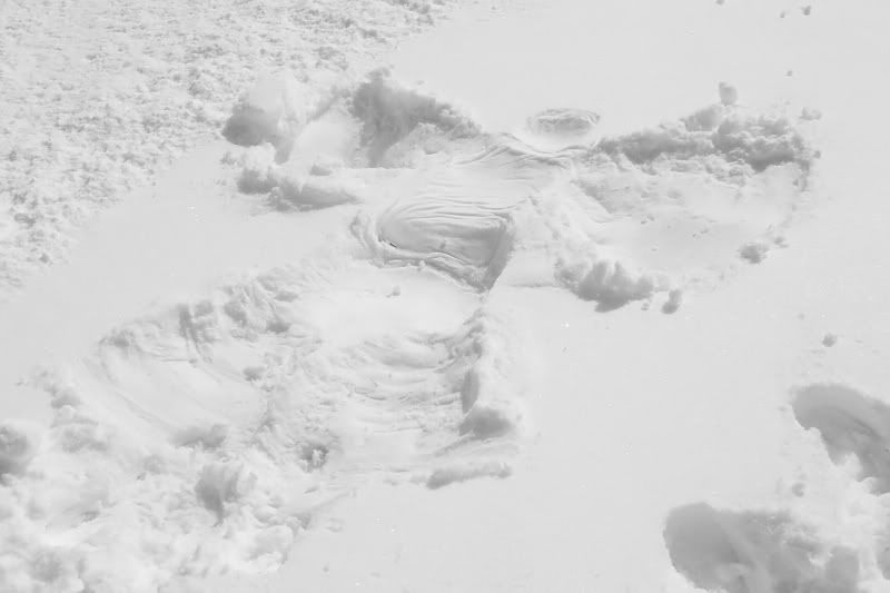 IMAGE: http://i4.photobucket.com/albums/y121/cylentka/P3050754.jpg