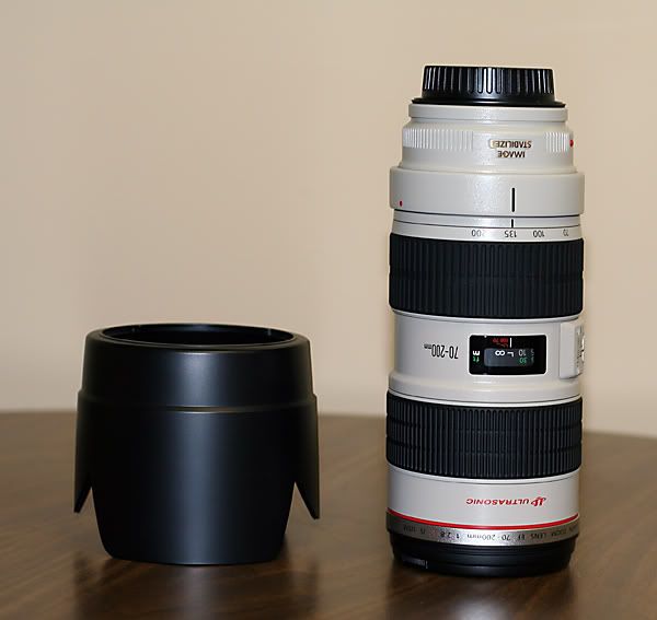 IMAGE: http://i4.photobucket.com/albums/y121/cylentka/ahhhhhhhhhh.jpg