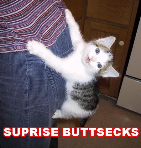 suprisebuttsecks_kitty.jpg