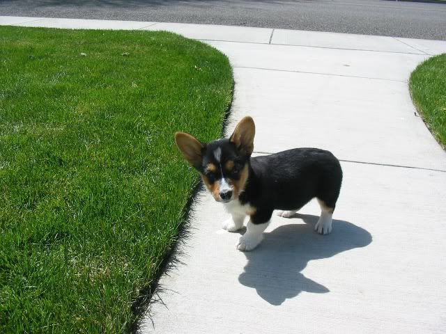 You think I'M silly looking?