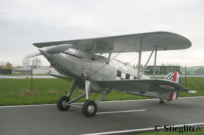 http://i4.photobucket.com/albums/y122/stieglitz/Wevelgem_25_11_2006/Fury2.jpg