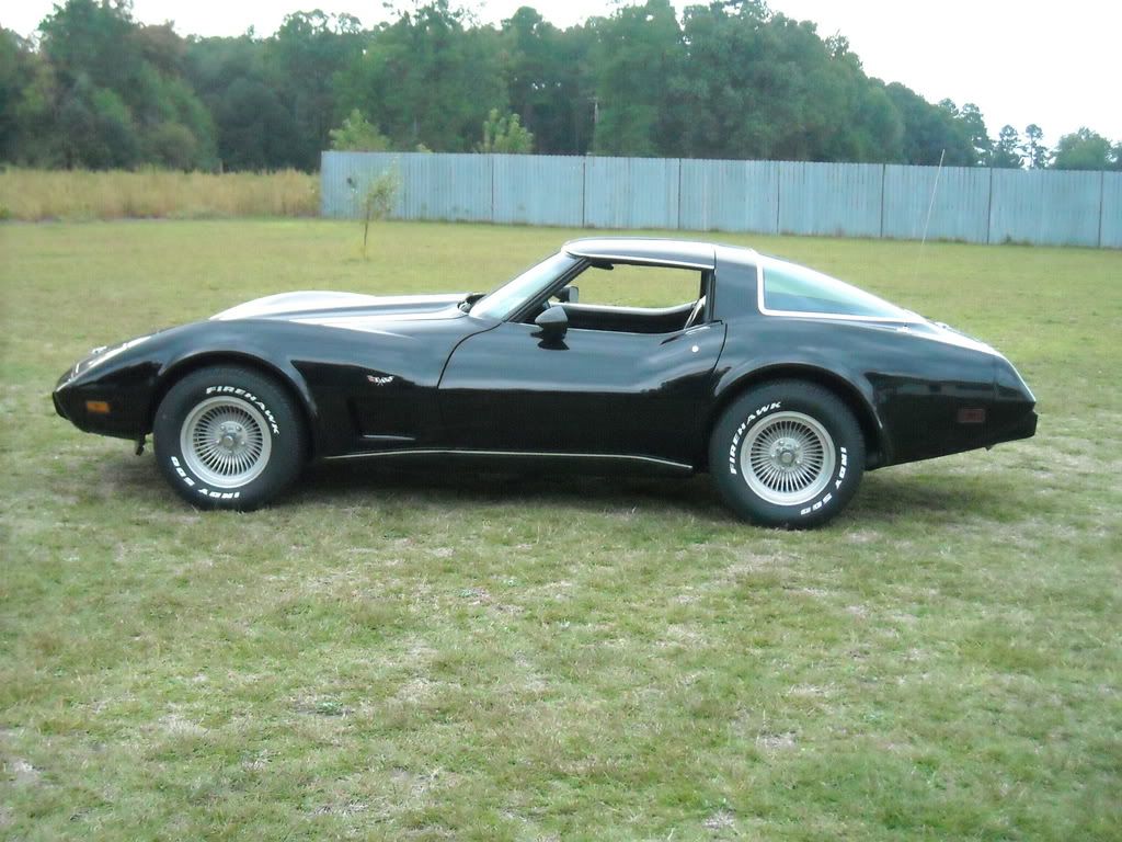 xzmyCORVETTE1978024.jpg