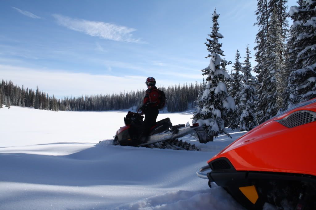 snowies09113.jpg