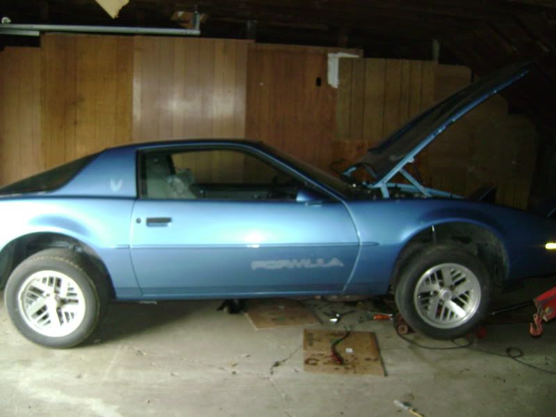 http://i4.photobucket.com/albums/y124/cshady911/firebird/DSC02359.jpg