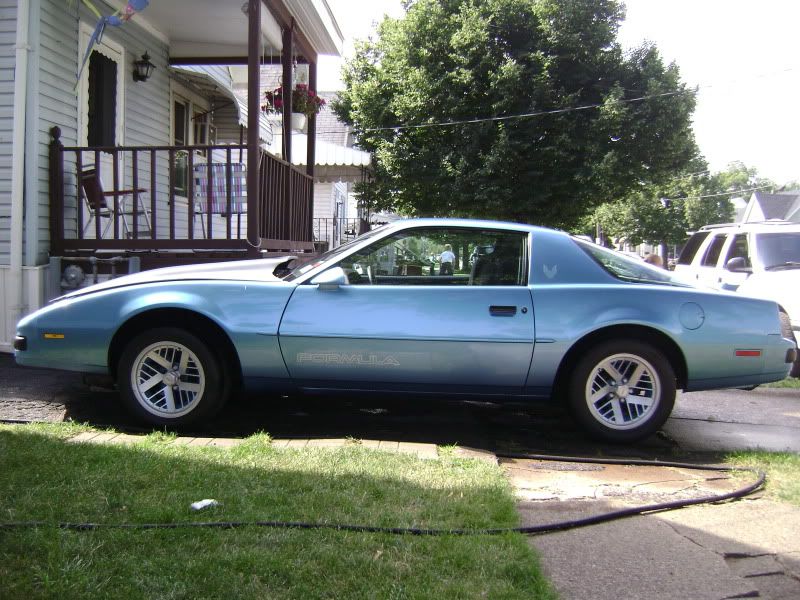 http://i4.photobucket.com/albums/y124/cshady911/firebird/Picture383.jpg