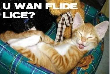 [Image: 3589d67e.jpg]