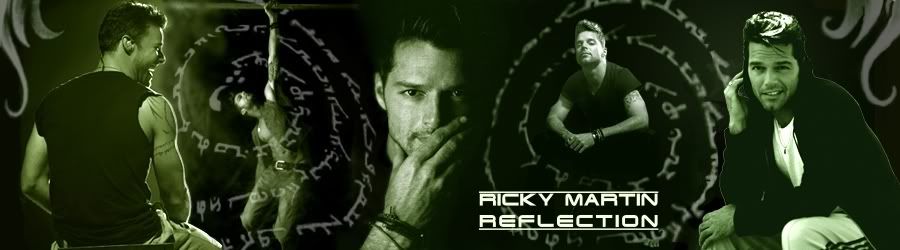 Ricky Martin Reflection