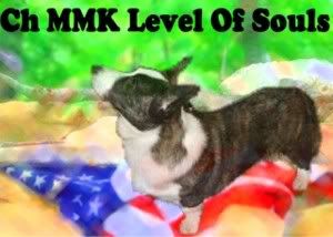 MMK Level Of Souls